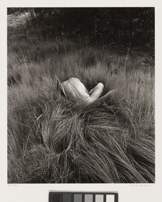 A black-and-white photograph of the back and arms of a nude White person crouched in a field of long grass.