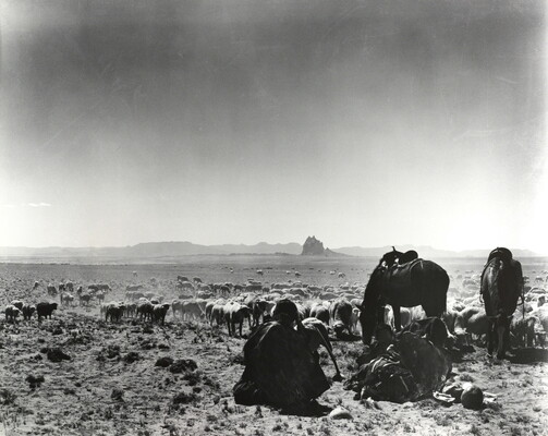 A black-and-white photograph of a man seated on the ground as two saddled horses graze with a herd of sheep on a plain with mountains in the distance.