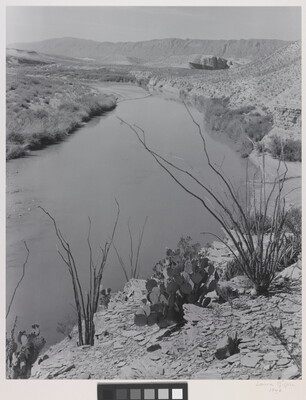 A black-and-white photograph of a rocky landscape with cacti and other plants overlooking a river, mountains in the distance.