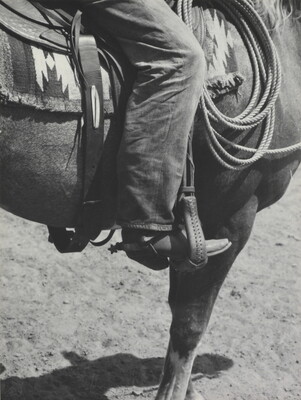 A black-and-white photograph of a person's leg in a cowboy boot, including spurs, sitting astride a horse, viewing only the horse's front quarter.