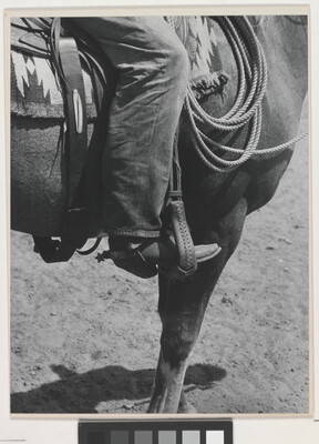 A black-and-white photograph of a person's leg in a cowboy boot, including spurs, sitting astride a horse, viewing only the horse's front quarter.