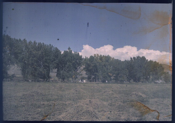 [Figure 4 Ranch] | Amon Carter Museum of American Art