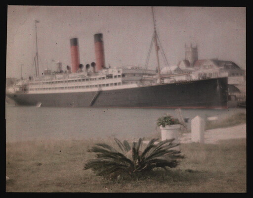 A color image of a large ship docked in a harbor; grass and plants in the foreground.