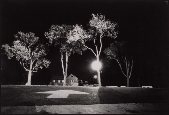 A black-and-white photograph taken from the ground at night; an arrow on the road seems to point to several tall trees and a house in the distance.