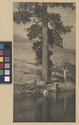 A sepia-toned photograph of three nude women bathing in a pool of water under a large tree.