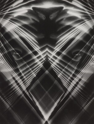 An abstract black-and-white photograph of stark white lines making a crisscross pattern that mimics a bird's face on a black background.