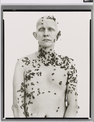 A black-and-white portrait photograph of a bald, shirtless White man covered in bees on his arms, torso, neck, and head.