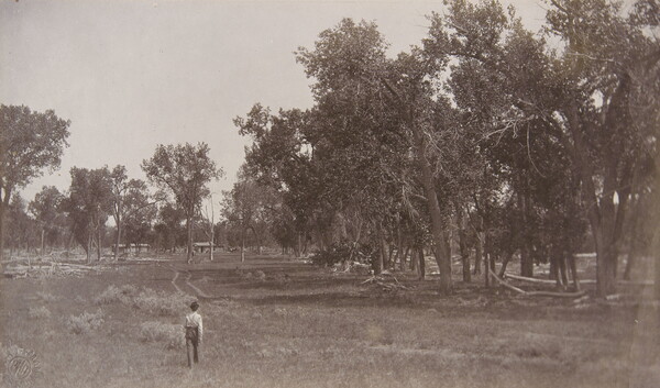 A black-and-white photograph of a man walking through a field surrounded by tall trees toward buildings in the distance. 