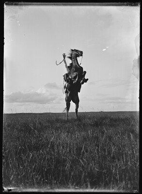 A black-and-white image of a horse rearing up and the rider, mostly unseen behind the horse, holds one arm in the air.