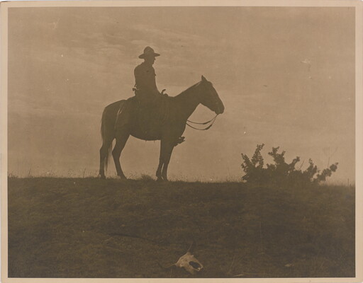 A black-and-white photograph of the silhouette of a cowboy on a standing horse; in the foreground, a cow skull lays in the grass.