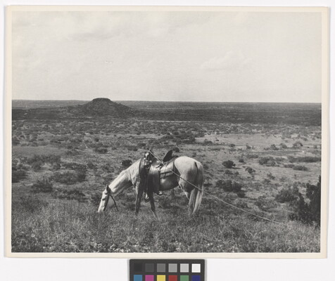 A black-and-white photograph of a grassy landscape with a saddled horse grazing in the foreground.