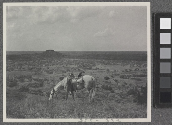 A black-and-white photograph of a grassy landscape with a saddled horse grazing in the foreground.