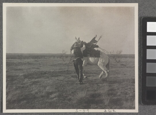 A black-and-white photograph of a cowboy trying to calm a white horse.