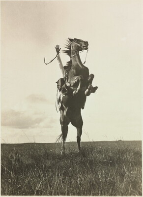 A black-and-white photograph of a horse rearing up and the rider, mostly unseen behind the horse, holds one arm in the air.