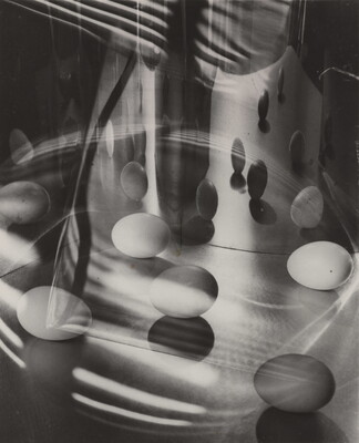 A black-and-white photograph of eggs surrounded by light, shadows, and reflections.