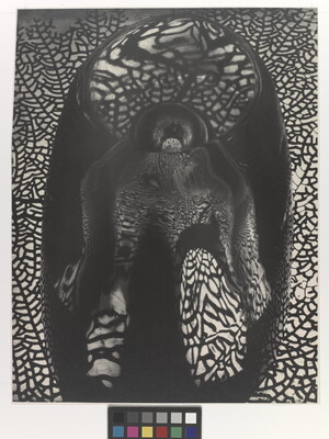 An abstract black-and-white photograph with mirrored reflections of coral like a spider web in an anthropomorphic form.
