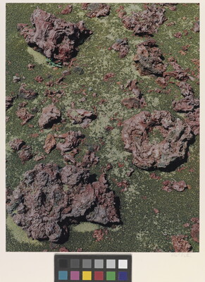 A color photograph of dry red, rocky chunks of lava on what looks like a green stone.