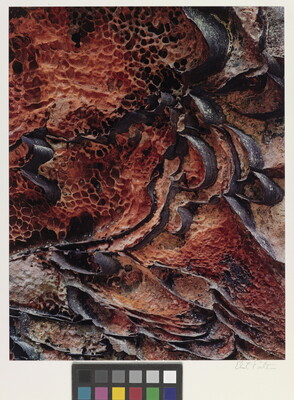 A color close-up photograph of black ribbon patterns scattered among red stone that looks like honeycombs.