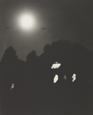 A black-and-white photograph of trees and a dark house with lit windows at night under a full moon.