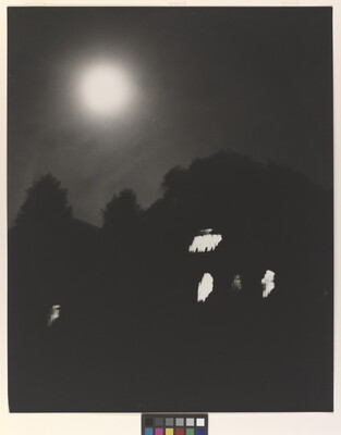 A black-and-white photograph of trees and a dark house with lit windows at night under a full moon.