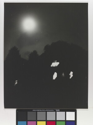 A black-and-white photograph of a trees and dark house with lit windows at night under a full moon.