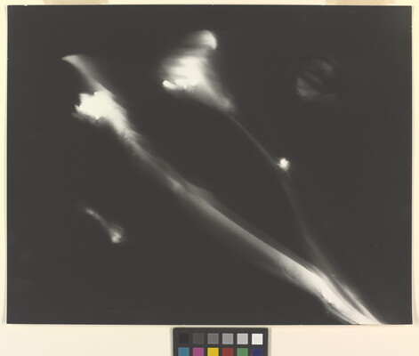 An abstract black-and-white photograph of two blurry, white flower stems against a black background.