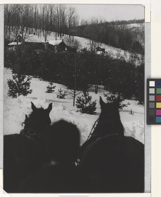 A black-and-white photograph of a snowy countryside as seen from behind the head of the driver and two horses.