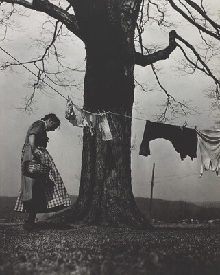 A black-and-white photograph of a White woman in a dress and apron standing next to a large tree with a clothesline and clothes hanging from it.