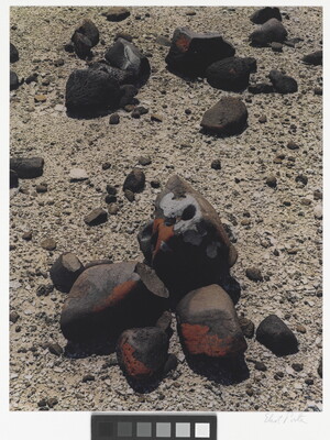 A color photograph of brown stones partially covered with red and white lichen on pebble-strewn ground.
