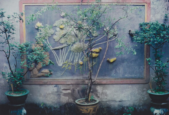 A color photograph of three large potted plants in front of a concrete wall with a relief mural of plant and bird motifs.