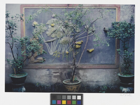 A color photograph of three large potted plants in front of a concrete wall with a relief mural of plant and bird motifs.