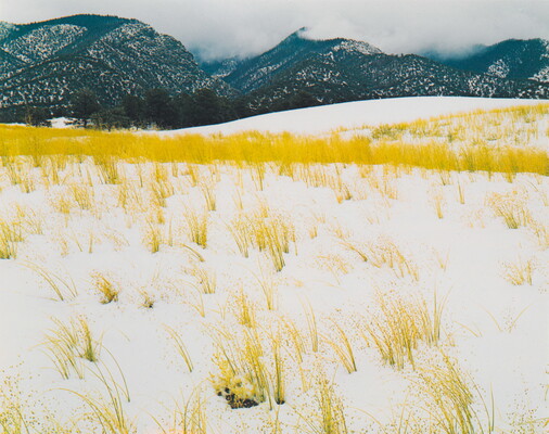 A color photograph of yellow grass stems poking out of snow and mist-covered mountains in the background.