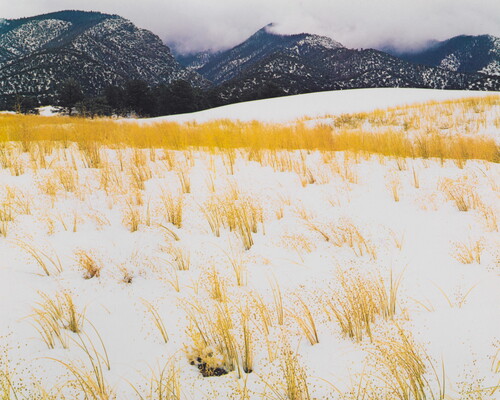A color photograph of yellow grass stems poking out of snow and mist-covered mountains in the background.