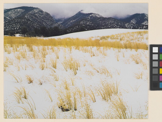 A color photograph of yellow grass stems poking out of snow and mist-covered mountains in the background.