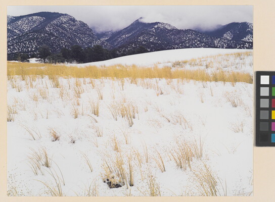 A color photograph of yellow grass stems poking out of snow and mist-covered mountains in the background.