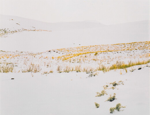 A color photograph of yellow and brown grass poking up from snow-covered hills.