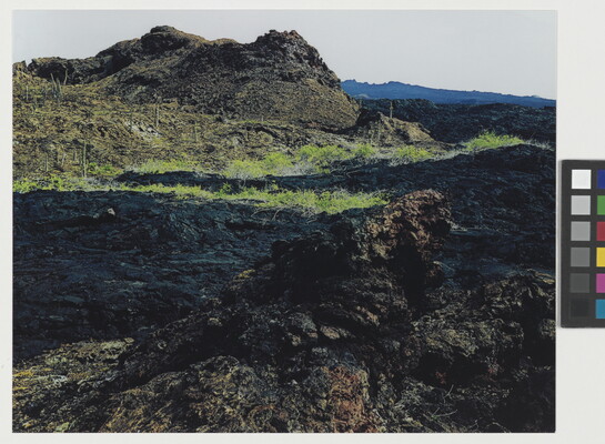 A color photograph of a rocky landscape formed by lava and partially covered in green grass.