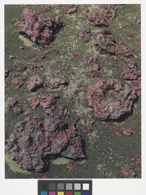 A color photograph of dry red, rocky chunks of lava on what looks like a green stone.