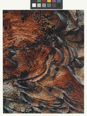 A color close-up photograph of black ribbon patterns scattered among red stone that looks like honeycombs.