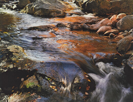 A color photograph of water rushing over and around rocks and boulders; fallen leaves stick to some of the rocks.