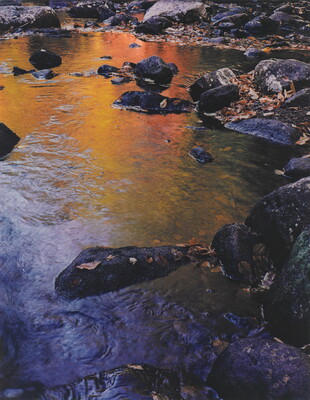 A color photograph of rocks in a stream that reflects the yellow and orange leaves of the trees above.