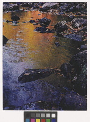 A color photograph of rocks in a stream that reflects the yellow and orange leaves of the trees above.