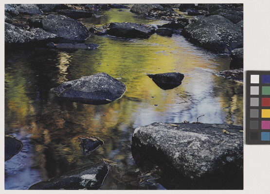 A close-up color photograph of rocks in a stream that reflects the yellow leaves of the trees above.