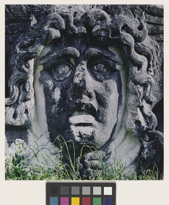 A color photograph of an ancient stone carving of a woman's face with snakes for hair.