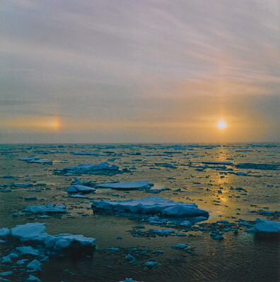 A color photograph of icebergs floating in a calm ocean with the sun peeking through a hazy sky.