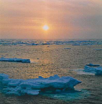 A color photograph of icebergs floating in a calm ocean with the sun shining through a hazy sky.