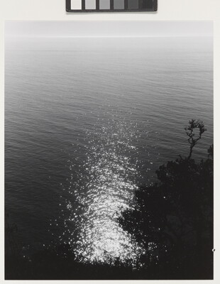 A black-and-white photograph of glittering water against a tree-lined shore.