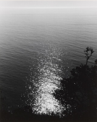 A black-and-white photograph of glittering water against a tree-lined shore.