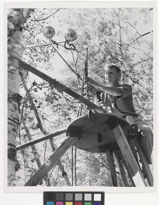 A black-and-white photograph of a White man on a ladder setting up lights on a scaffold next to a tree.