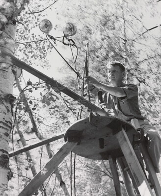 A black-and-white photograph of a White man on a ladder setting up lights on a scaffold next to a tree.